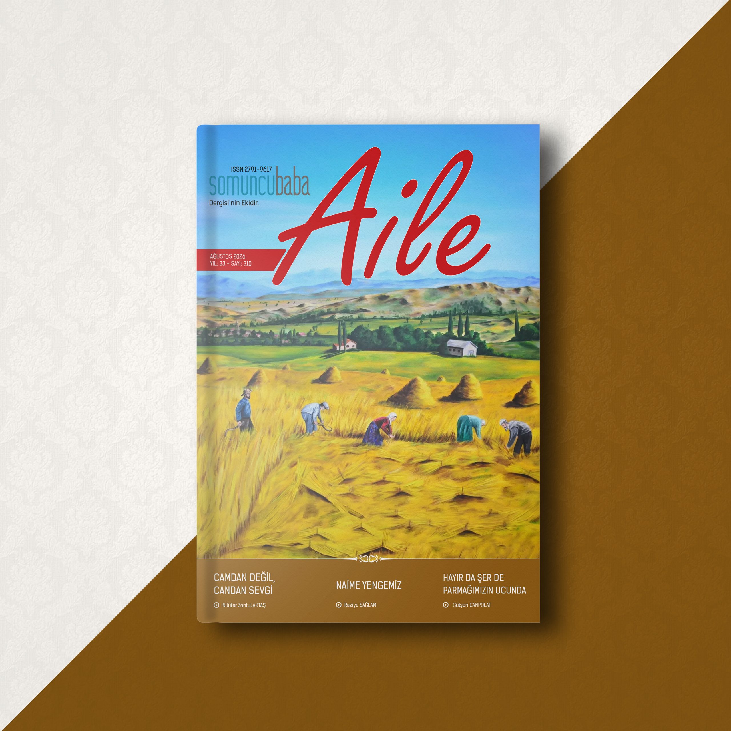 aile-310